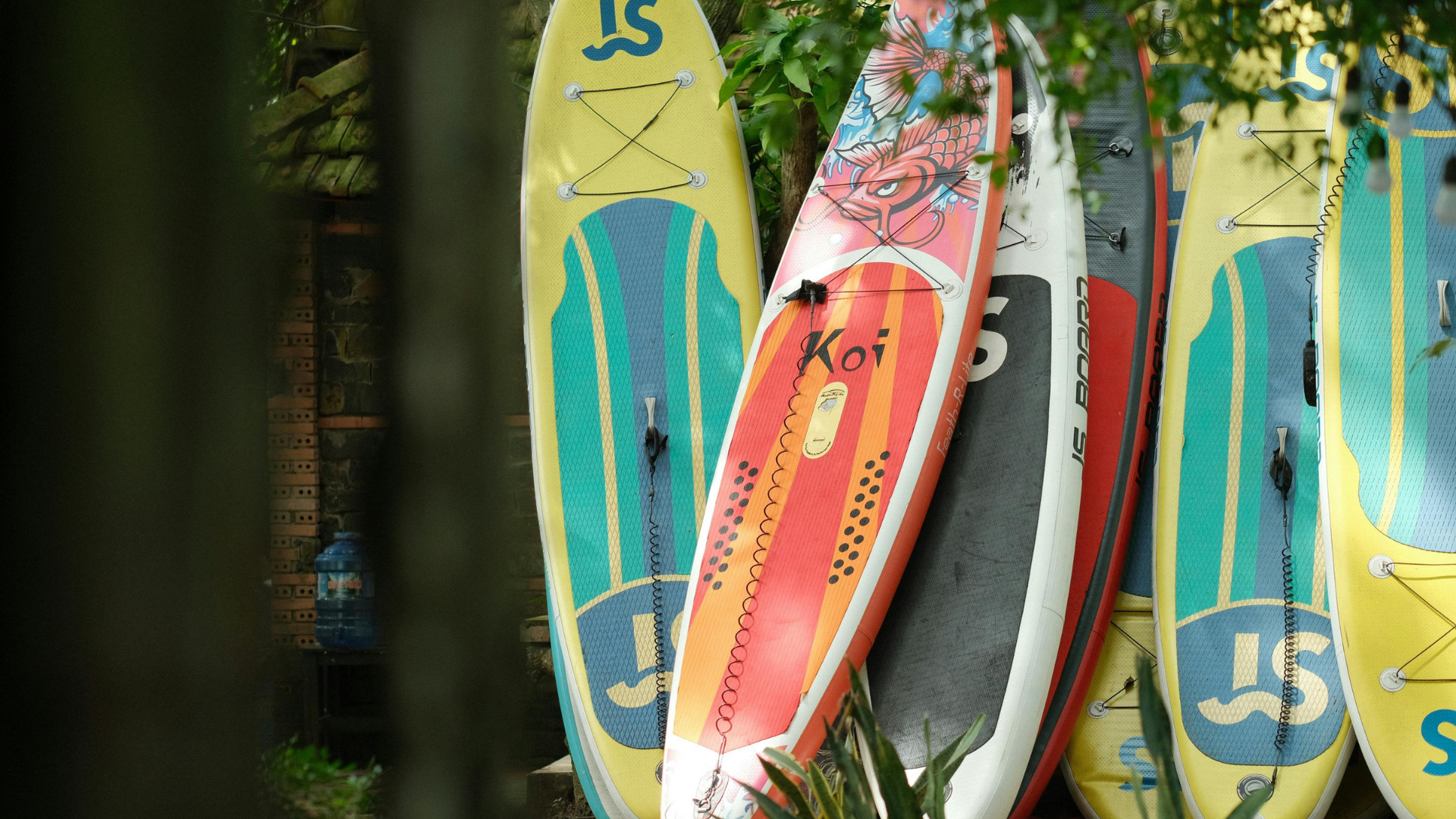 Вода, SUP и вейкборд